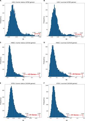 New Analysis Framework Incorporating Mixed Mutual Information and Scalable Bayesian Networks for Multimodal High Dimensional Genomic and Epigenomic Cancer Data